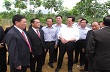 Thủ tướng Chính phủ VN và Thủ tướng Chính phủ Lào thăm dự án phát triển cao su ở Nghệ An